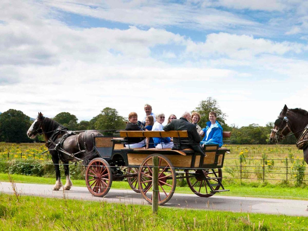 Madams Hill House Killarney By Trident Holiday Homes エクステリア 写真